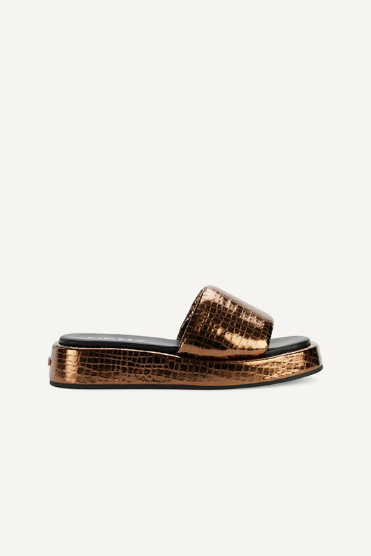 LACHINE PLATFROM SLIDE