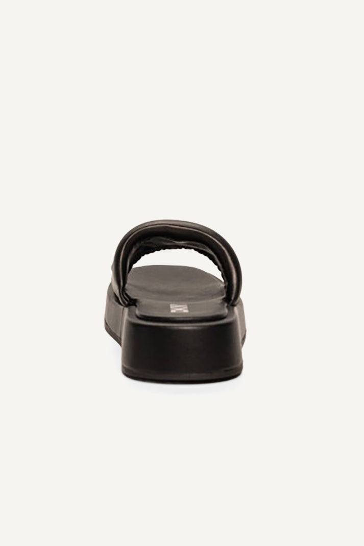 شريحة منصة لويا